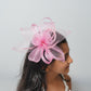 Elegant Mesh Rose Hair Fascinator