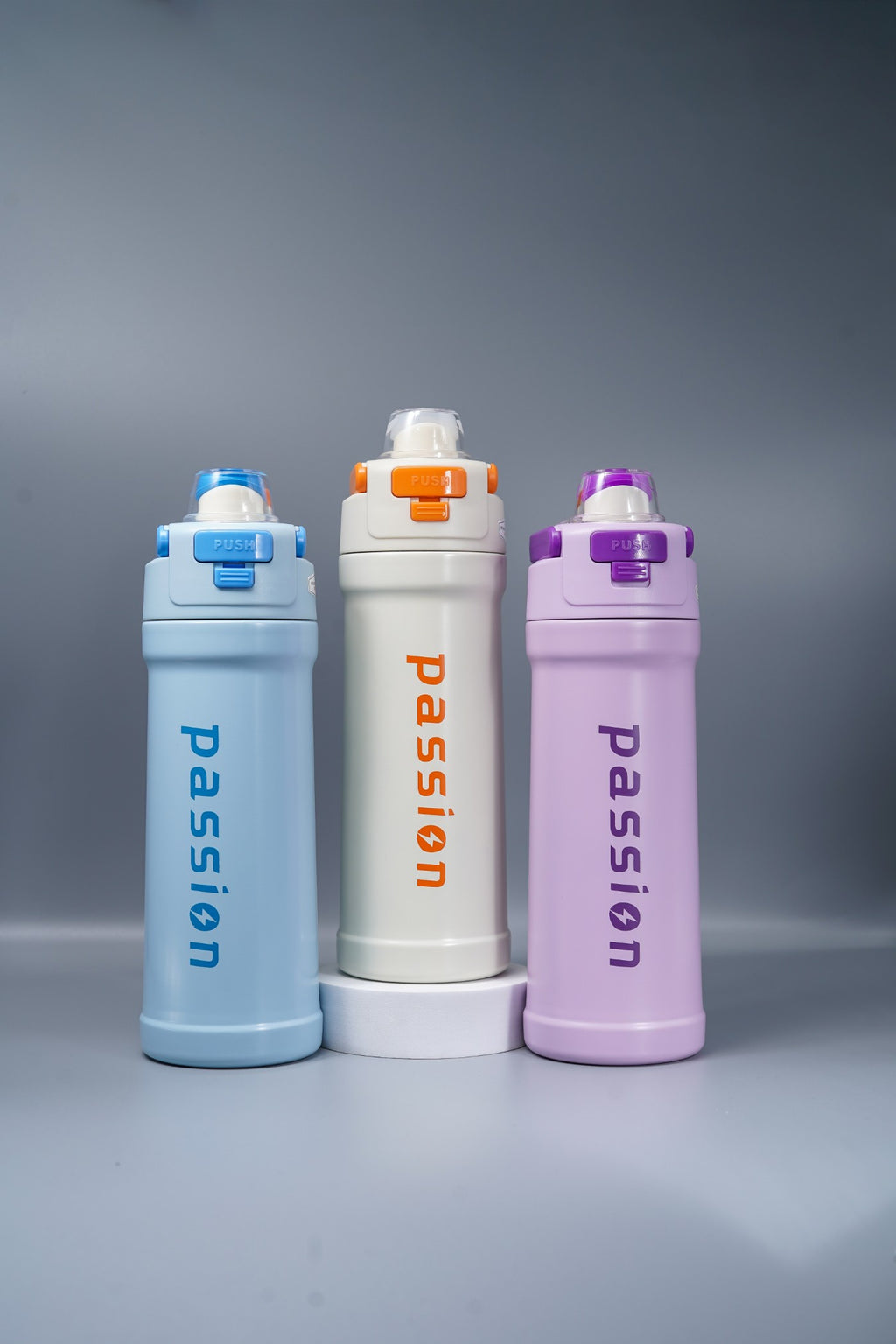 Steel Water Bottle with Flip-Lock Straw Lid (Passion)