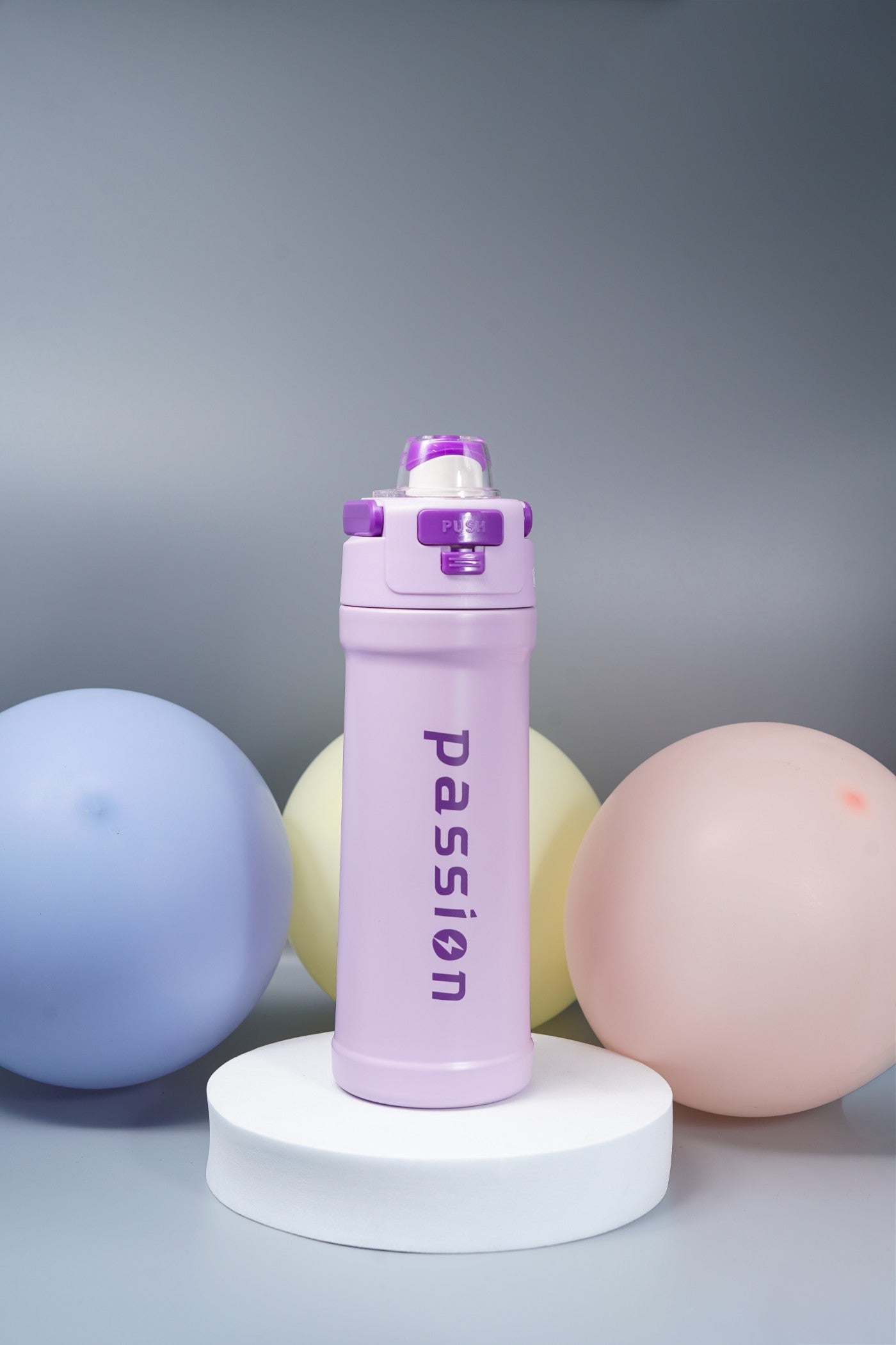 Steel Water Bottle with Flip-Lock Straw Lid (Passion)