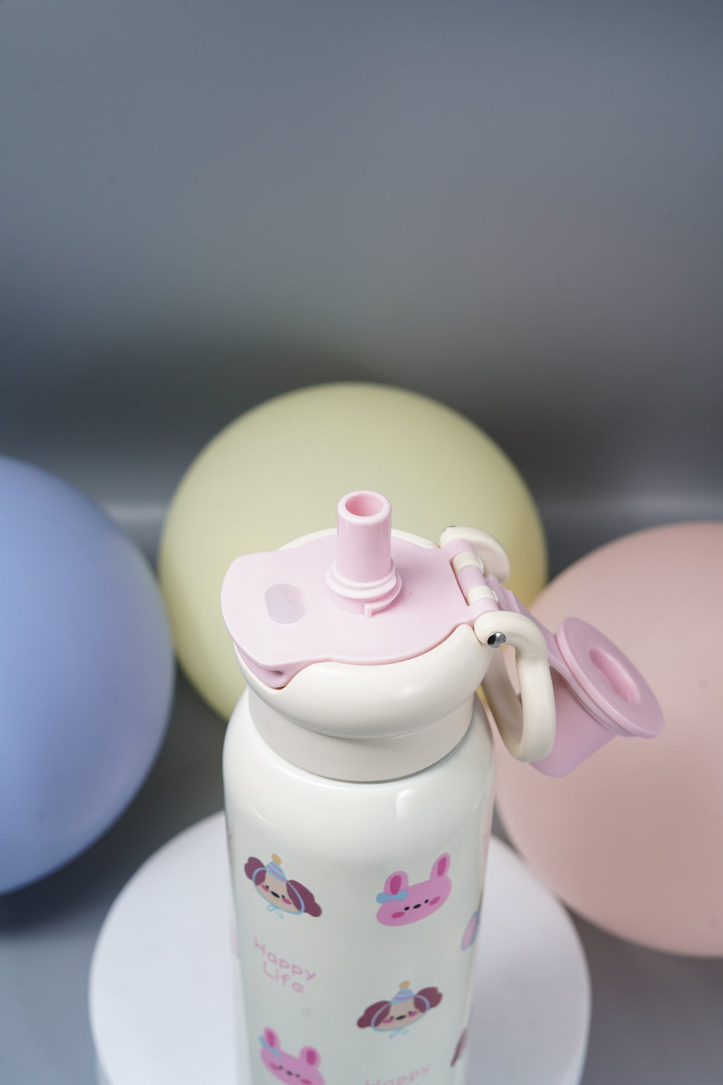 Steel Water Bottle with Straw & Spout