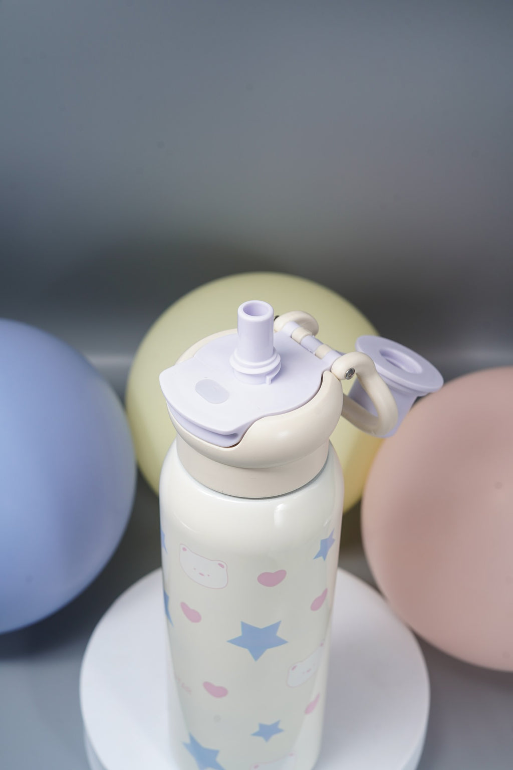 Steel Water Bottle with Straw & Spout