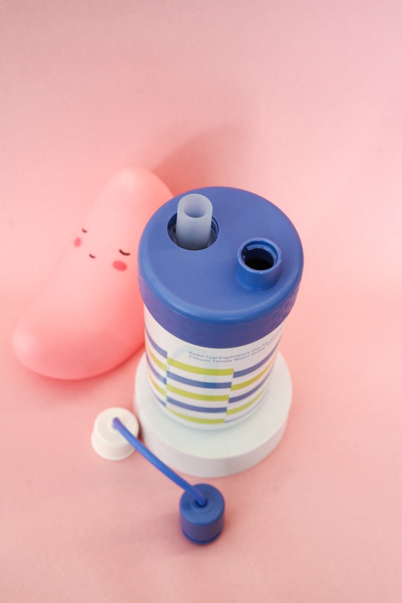 Premium Carry Loop Design Water Bottle