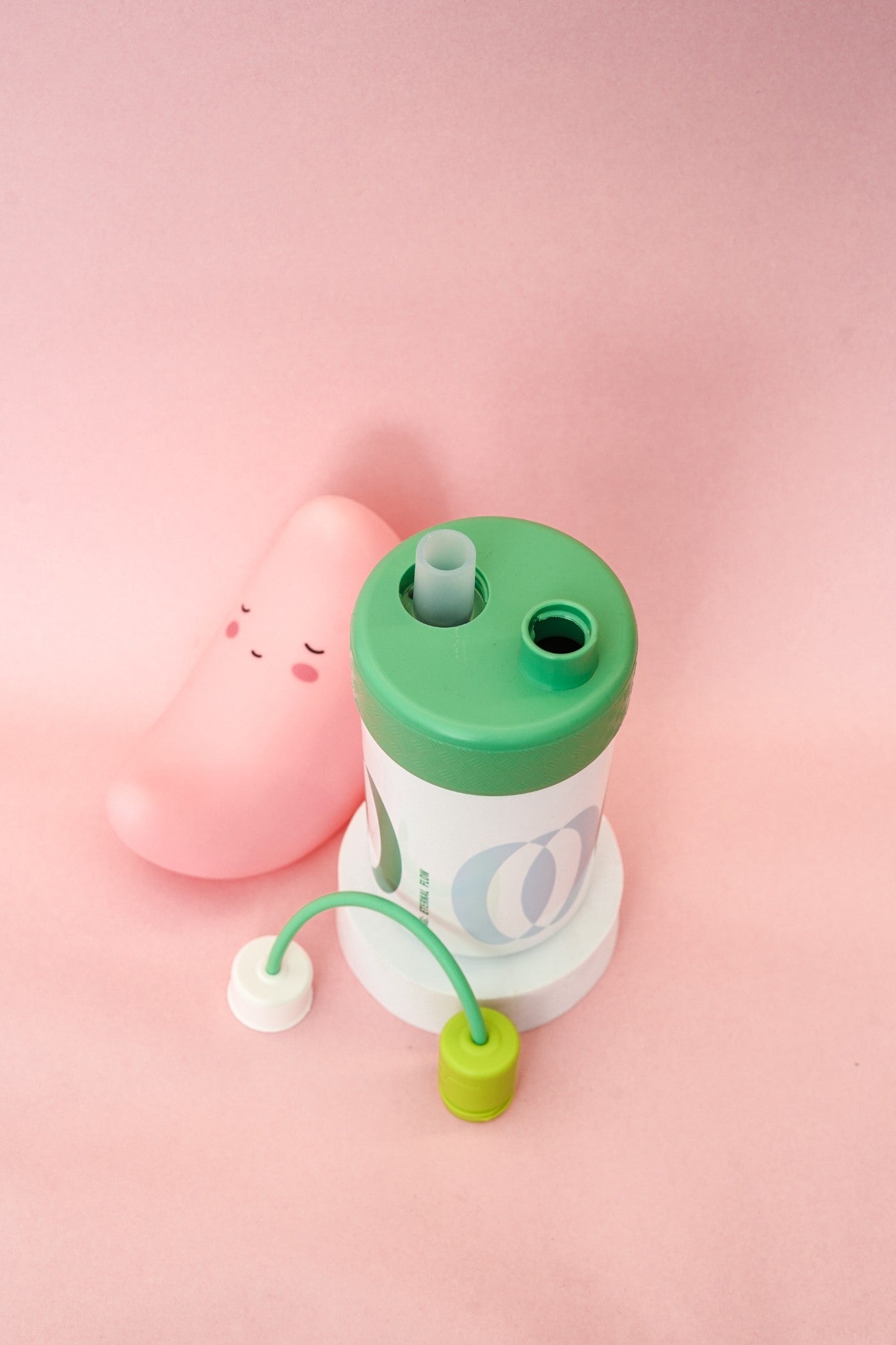 Premium Carry Loop Design Water Bottle