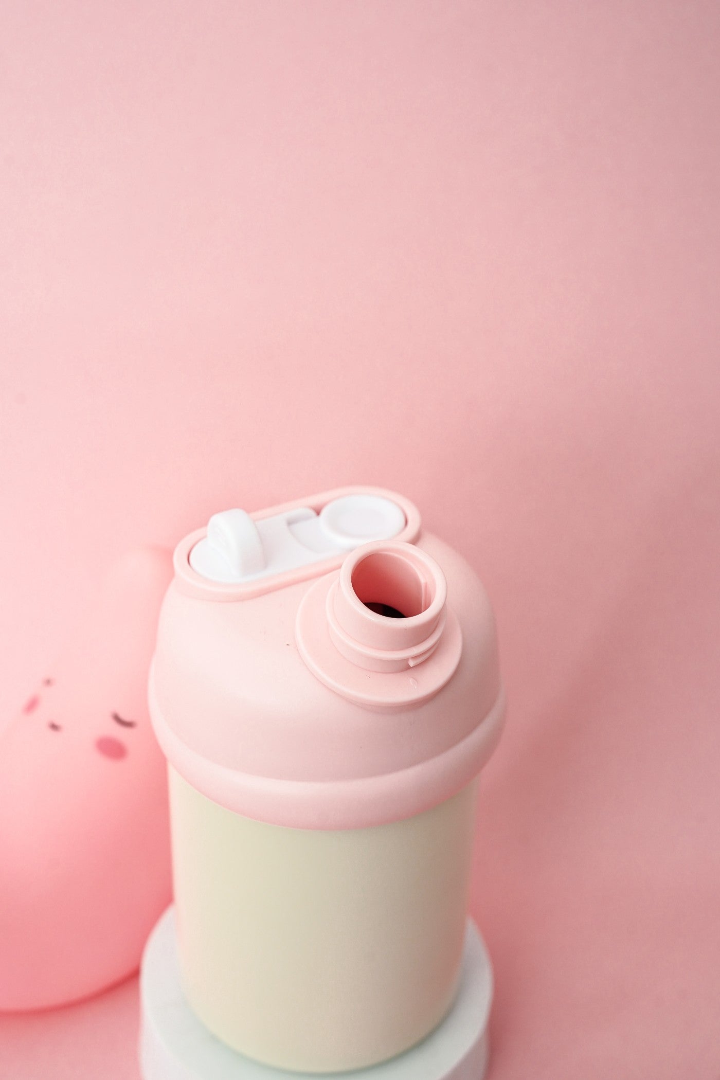 DIY Sticker Stainless Steel Water Bottle for Kids